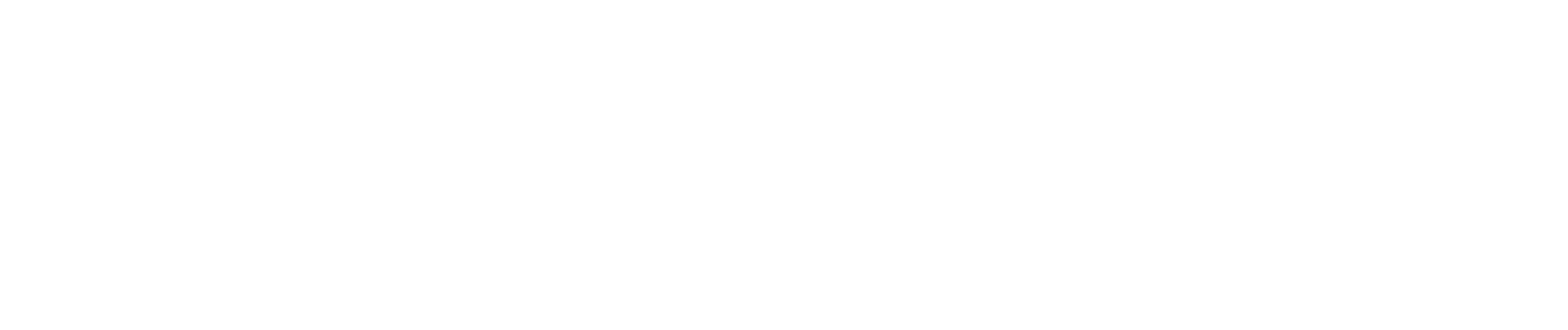 The Physio Co.